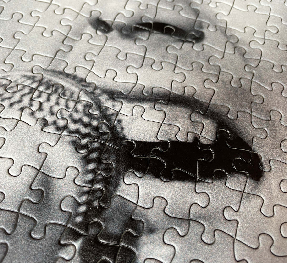 johnny rotten puzzle close-up